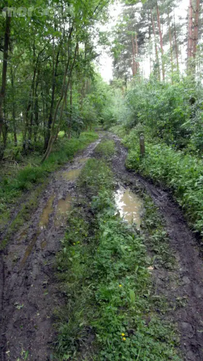 Scar Tree Mountain Bike Trail - Wakerley Great Wood