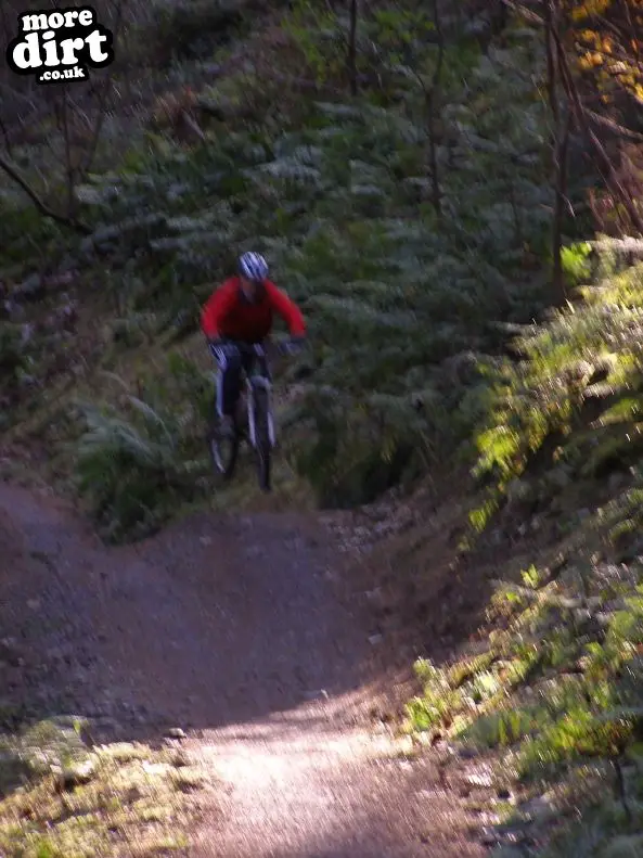 The Red Trail - Glentress