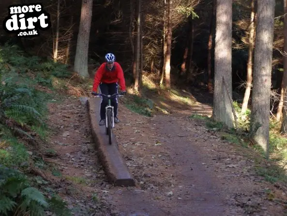 The Red Trail - Glentress