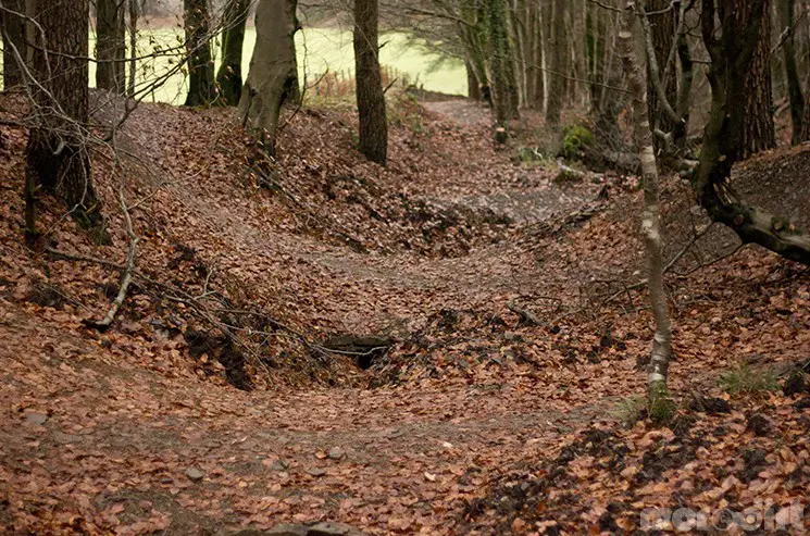 Afan Bike Park