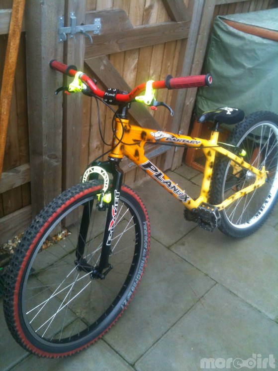 Mountain Bike