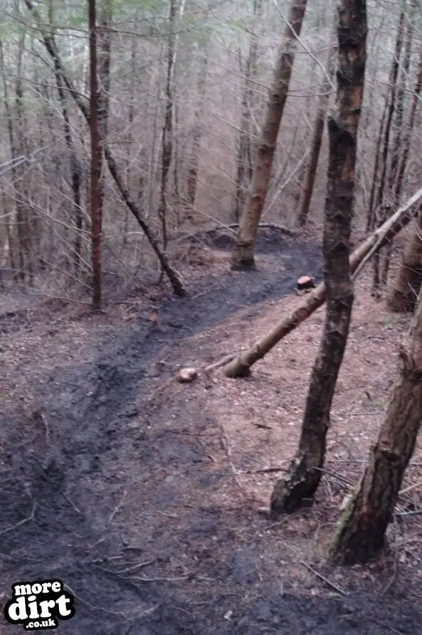 Danny Hart’s Descend Bike Park