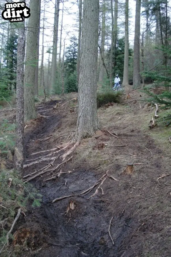 Danny Hart’s Descend Bike Park