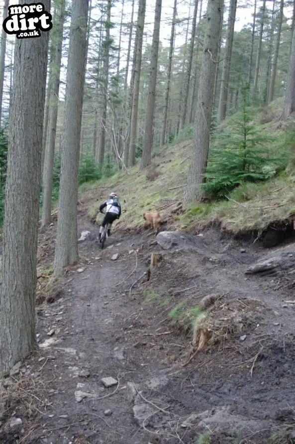 Danny Hart’s Descend Bike Park