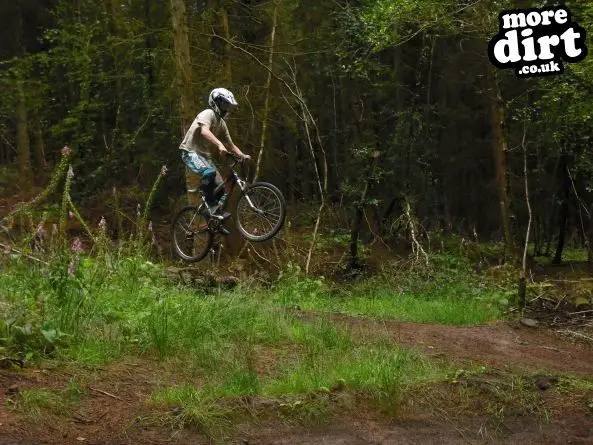 Wentwood Forest Downhill Trail