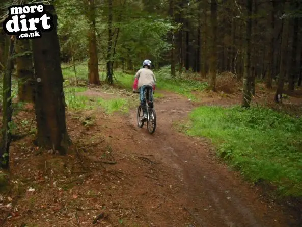 Wentwood Forest Downhill Trail