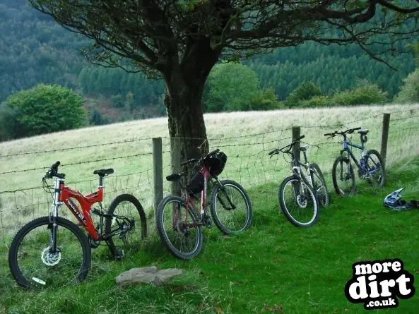 Freeride - Cwmcarn