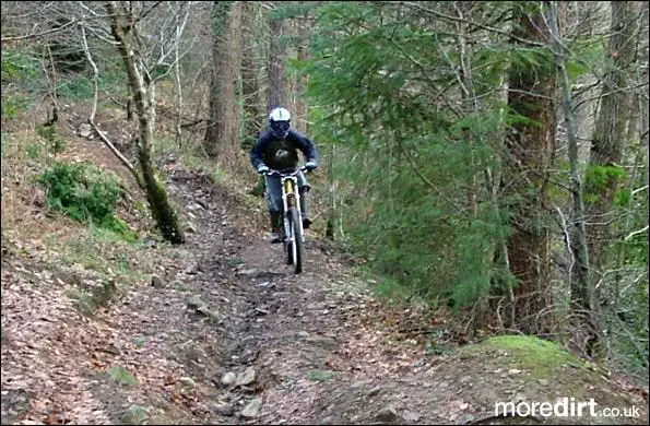 Rheola Downhill Mountain Bike Trail