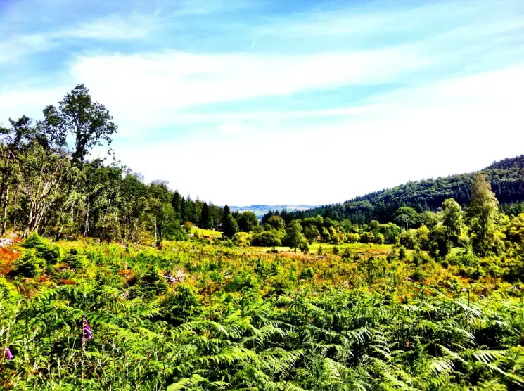 Gwydir Mawr Mountain Bike Trail