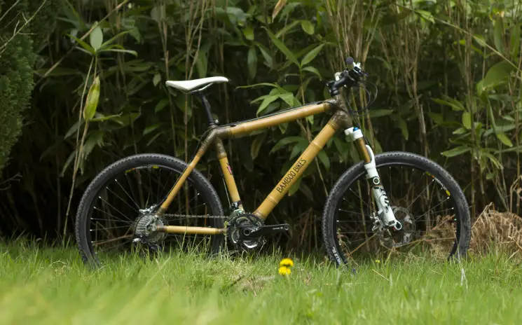 bamboo mtb