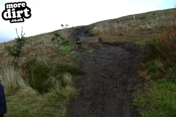 Carlton Bank DH