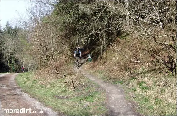 Penhydd Trail -  Afan Forest