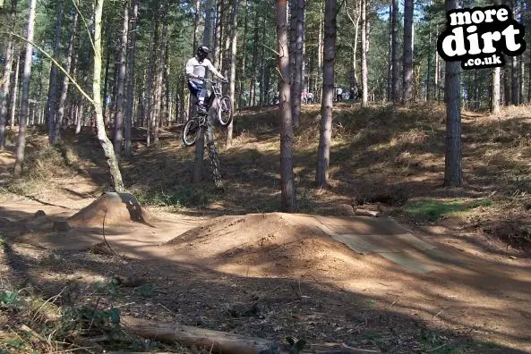 Chicksands Bike Park