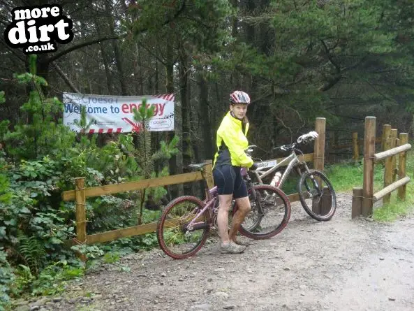 Whites Level Trail - Afan Forest