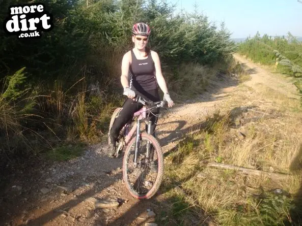 Whites Level Trail - Afan Forest