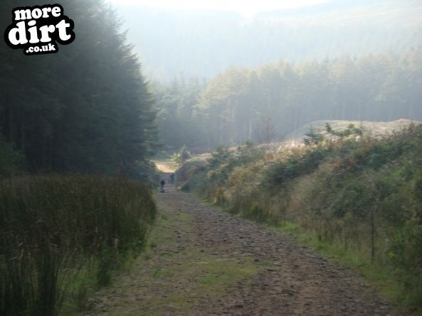 Penhydd Trail -  Afan Forest