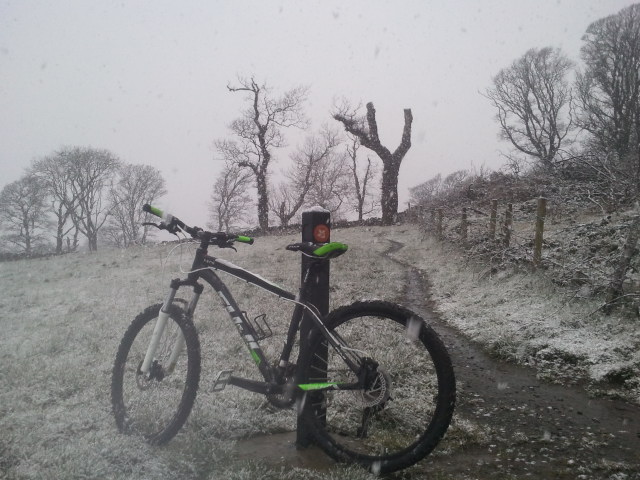 Mountain Bike