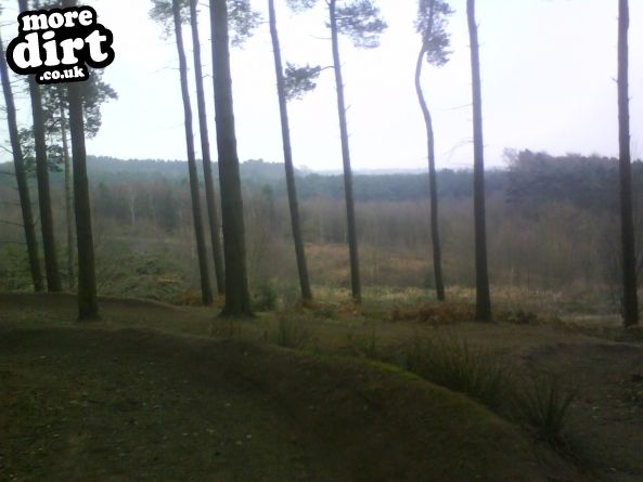 Delamere Forest Park