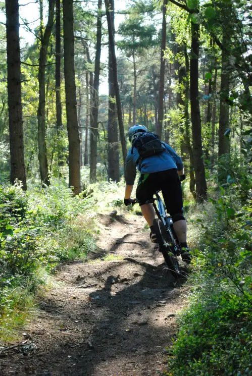 Stainburn Forest Mountain Bike Trail Centre