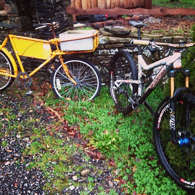 Mountain Bike