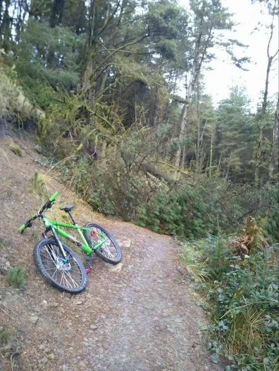 Mountain Bike