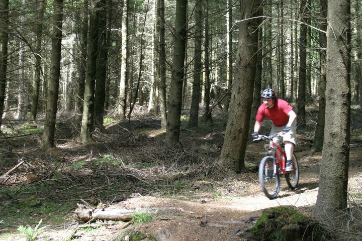 Mountain Bike