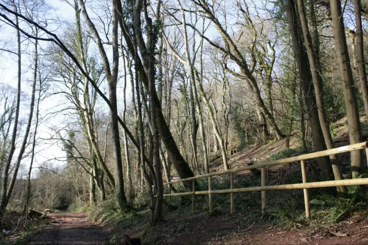 Scadson Woods Mountain Bike Park