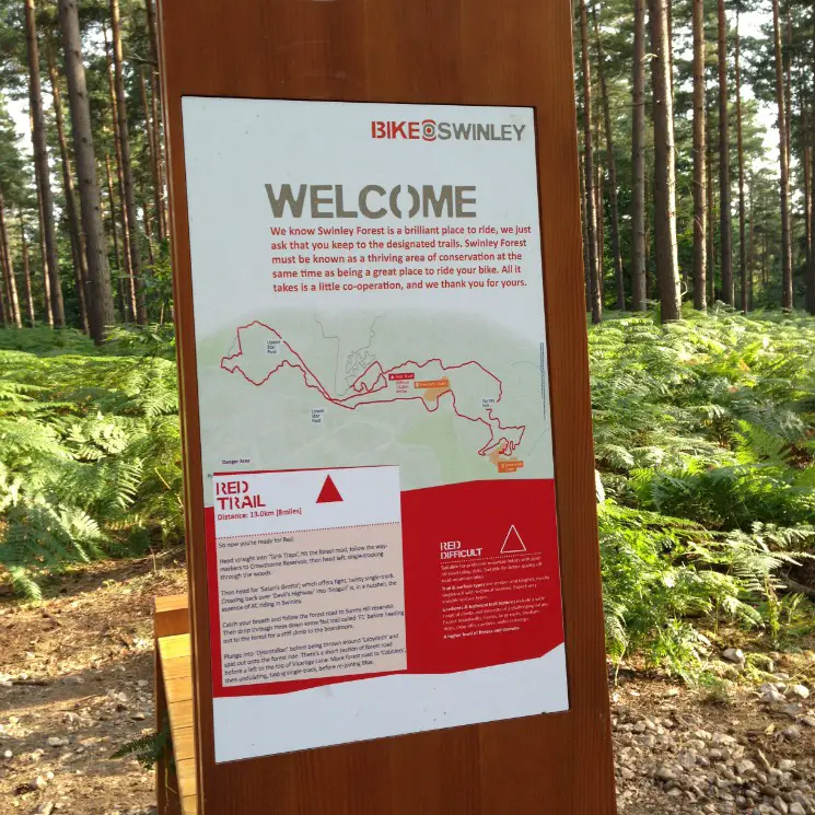 Swinley Forest Mountain Bike Centre