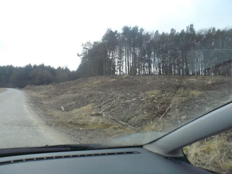 Afan Forest Park Trail Centre