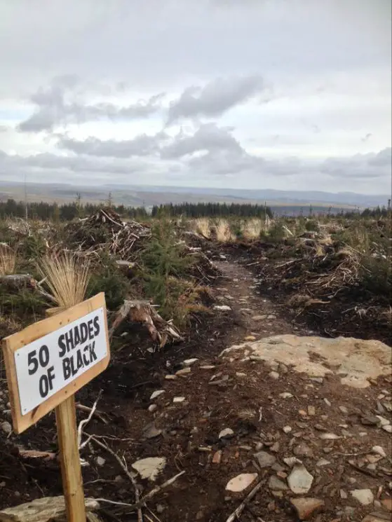 Bike Park Wales