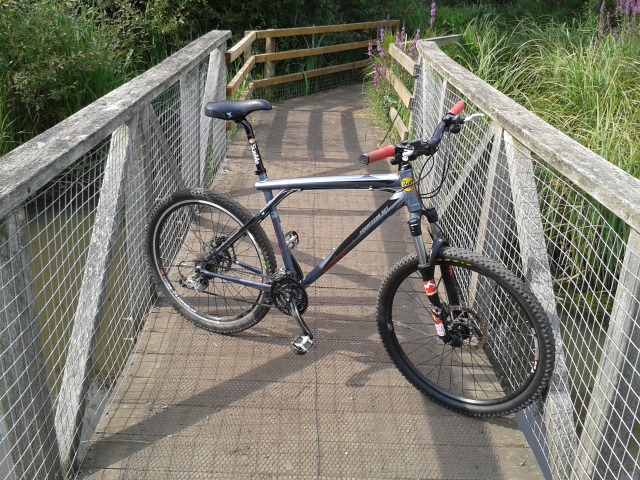 Mountain Bike