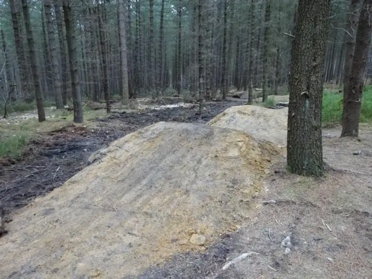 Grenoside Woods Mountain Bike Trails