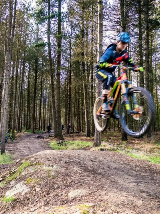 Grenoside Woods Mountain Bike Trails