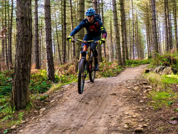 Grenoside Woods Mountain Bike Trails