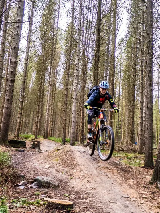 Grenoside Woods Mountain Bike Trails