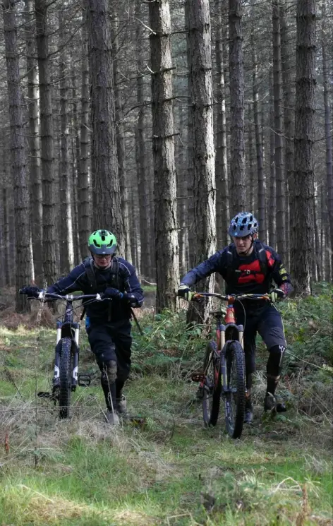 Grenoside Woods Mountain Bike Trails