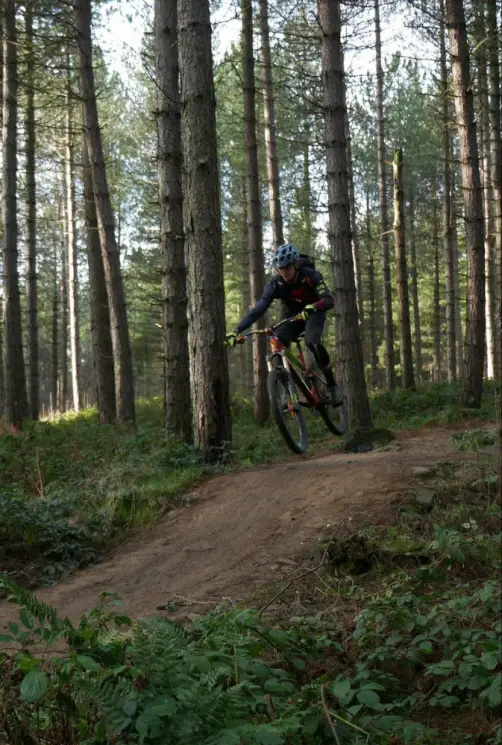 Grenoside Woods Mountain Bike Trails