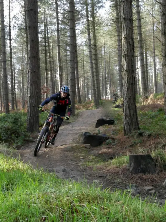 Grenoside Woods Mountain Bike Trails