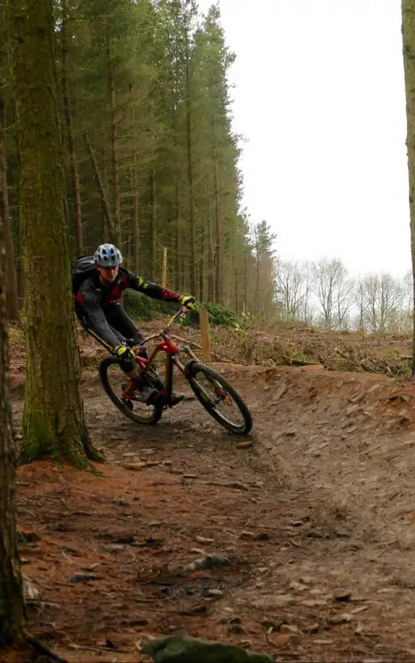 Grenoside Woods Mountain Bike Trails