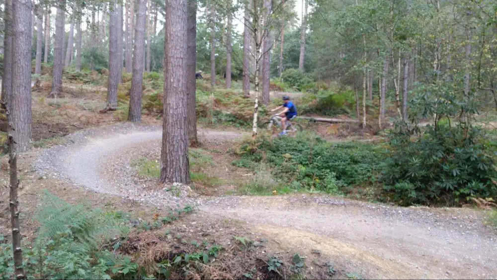 bedgebury mtb trails