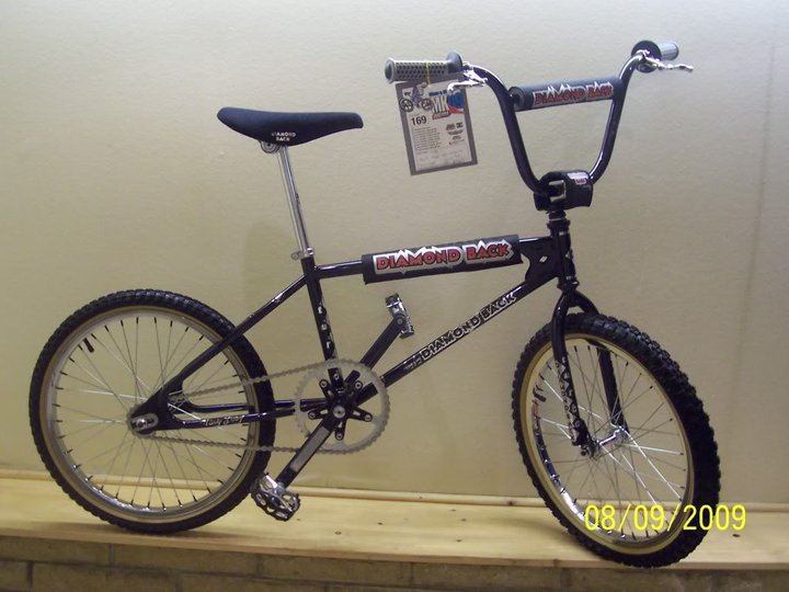 Mountain Bike