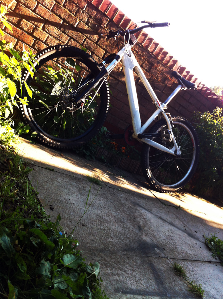 Mountain Bike