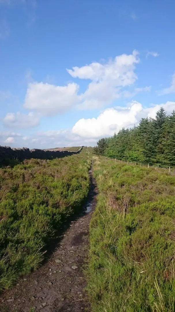 Longridge Fell Mountain Bike Trails Photo 90935