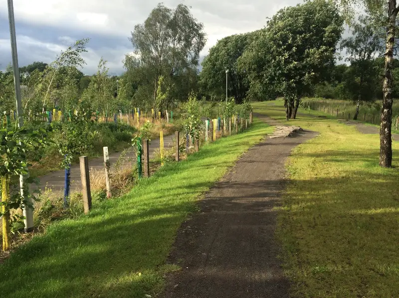 Cuningar Loop Mountain Bike Skills Area