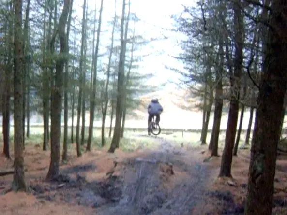 Buckstones Trails