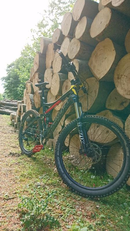 Mountain Bike