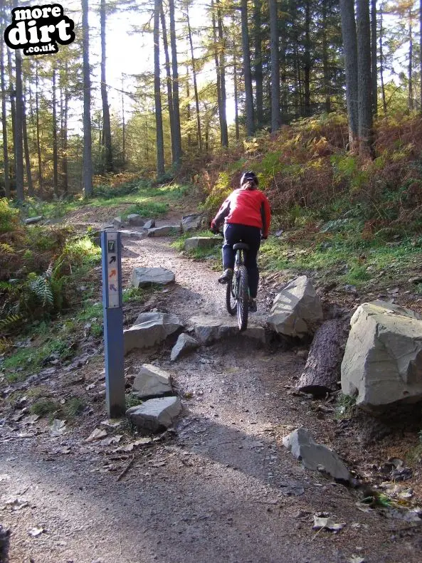 The Red Trail - Glentress