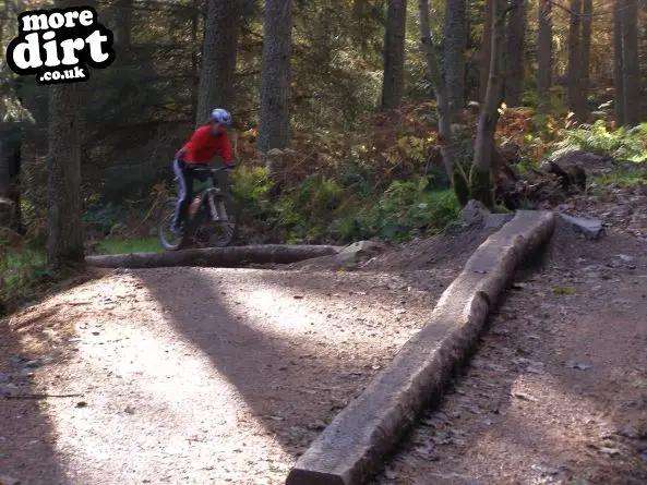 The Red Trail - Glentress