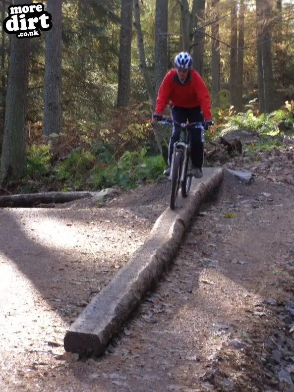 The Red Trail - Glentress