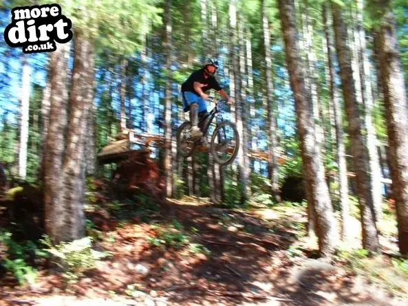 Freeride - Cwmcarn